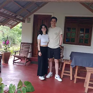 https://jungle-eco-lodge.kandyhotelsnow.com